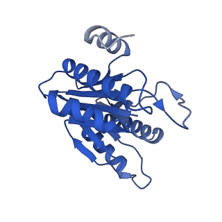 5623_3j9i_I_v1-2
Thermoplasma acidophilum 20S proteasome