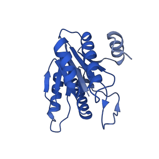 5623_3j9i_J_v1-1
Thermoplasma acidophilum 20S proteasome