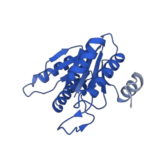 5623_3j9i_K_v1-1
Thermoplasma acidophilum 20S proteasome