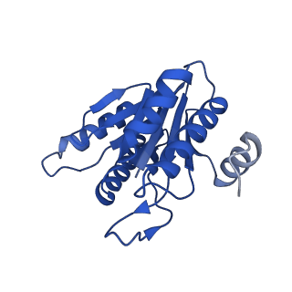 5623_3j9i_K_v1-2
Thermoplasma acidophilum 20S proteasome