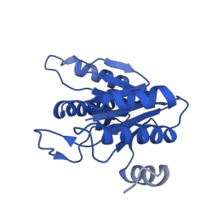 5623_3j9i_L_v1-1
Thermoplasma acidophilum 20S proteasome