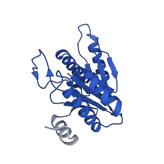 5623_3j9i_M_v1-1
Thermoplasma acidophilum 20S proteasome