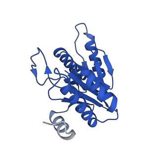 5623_3j9i_M_v1-2
Thermoplasma acidophilum 20S proteasome