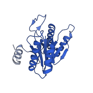5623_3j9i_N_v1-1
Thermoplasma acidophilum 20S proteasome