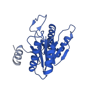 5623_3j9i_N_v1-2
Thermoplasma acidophilum 20S proteasome