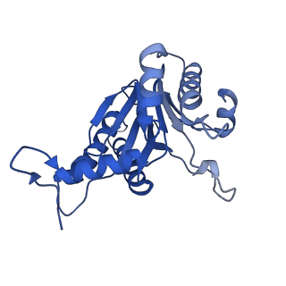 5623_3j9i_O_v1-1
Thermoplasma acidophilum 20S proteasome