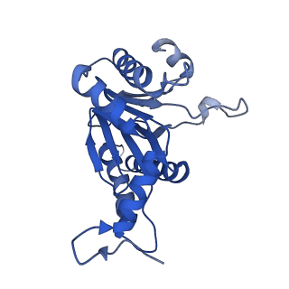 5623_3j9i_P_v1-1
Thermoplasma acidophilum 20S proteasome