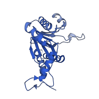 5623_3j9i_P_v1-2
Thermoplasma acidophilum 20S proteasome