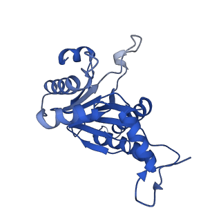 5623_3j9i_Q_v1-1
Thermoplasma acidophilum 20S proteasome