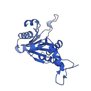 5623_3j9i_Q_v1-2
Thermoplasma acidophilum 20S proteasome