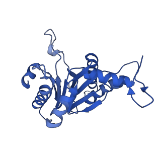 5623_3j9i_R_v1-1
Thermoplasma acidophilum 20S proteasome