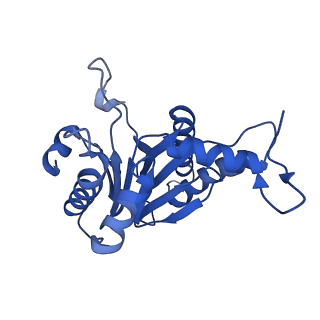 5623_3j9i_R_v1-2
Thermoplasma acidophilum 20S proteasome