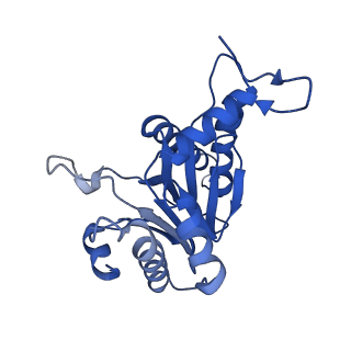 5623_3j9i_S_v1-1
Thermoplasma acidophilum 20S proteasome