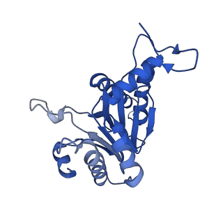 5623_3j9i_S_v1-2
Thermoplasma acidophilum 20S proteasome