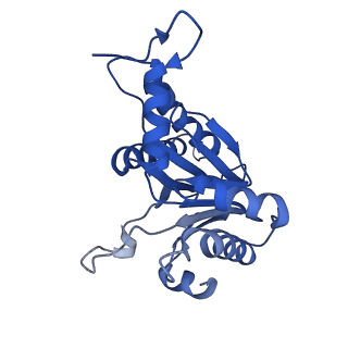 5623_3j9i_T_v1-1
Thermoplasma acidophilum 20S proteasome