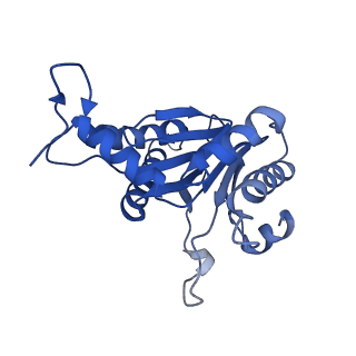5623_3j9i_U_v1-1
Thermoplasma acidophilum 20S proteasome