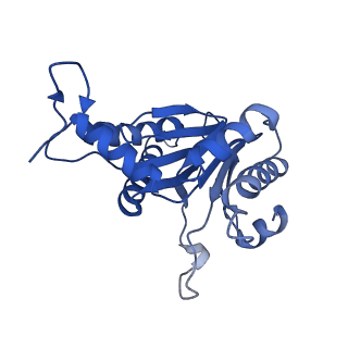 5623_3j9i_U_v1-2
Thermoplasma acidophilum 20S proteasome