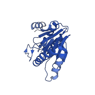 5623_3j9i_W_v1-1
Thermoplasma acidophilum 20S proteasome