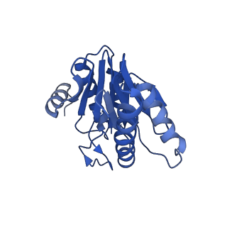 5623_3j9i_X_v1-1
Thermoplasma acidophilum 20S proteasome