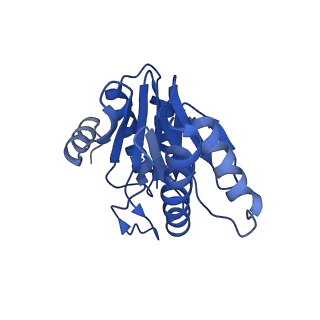 5623_3j9i_X_v1-2
Thermoplasma acidophilum 20S proteasome