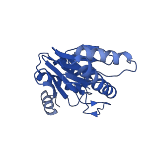 5623_3j9i_Y_v1-1
Thermoplasma acidophilum 20S proteasome