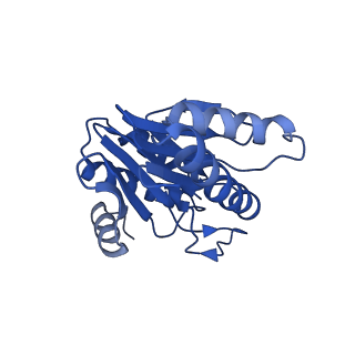 5623_3j9i_Y_v1-2
Thermoplasma acidophilum 20S proteasome