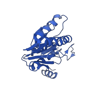 5623_3j9i_Z_v1-2
Thermoplasma acidophilum 20S proteasome