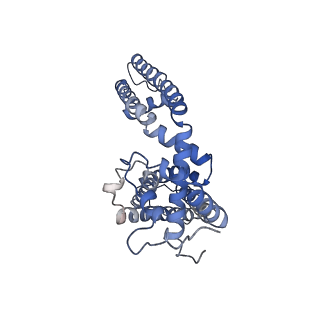 5778_3j9j_A_v1-2
Structure of the capsaicin receptor, TRPV1, determined by single particle electron cryo-microscopy