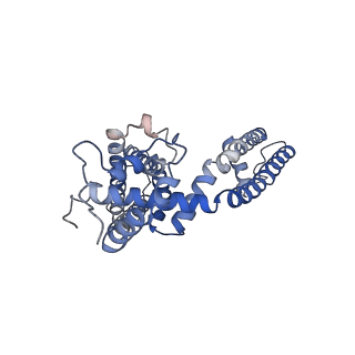 5778_3j9j_B_v1-2
Structure of the capsaicin receptor, TRPV1, determined by single particle electron cryo-microscopy