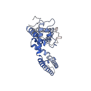 5778_3j9j_D_v1-1
Structure of the capsaicin receptor, TRPV1, determined by single particle electron cryo-microscopy