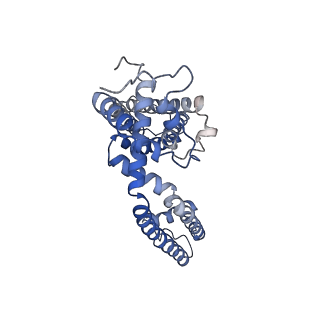 5778_3j9j_D_v1-2
Structure of the capsaicin receptor, TRPV1, determined by single particle electron cryo-microscopy