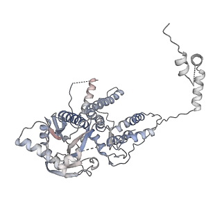 6202_3j9b_A_v1-2
Electron cryo-microscopy of an RNA polymerase