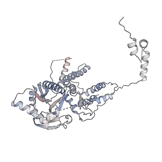 6202_3j9b_A_v1-3
Electron cryo-microscopy of an RNA polymerase