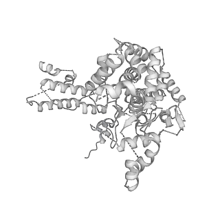 6202_3j9b_B_v1-2
Electron cryo-microscopy of an RNA polymerase