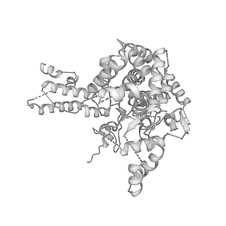 6202_3j9b_B_v1-3
Electron cryo-microscopy of an RNA polymerase