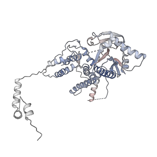 6202_3j9b_H_v1-2
Electron cryo-microscopy of an RNA polymerase