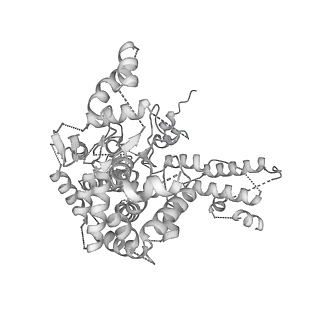 6202_3j9b_I_v1-2
Electron cryo-microscopy of an RNA polymerase