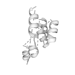 6202_3j9b_J_v1-2
Electron cryo-microscopy of an RNA polymerase