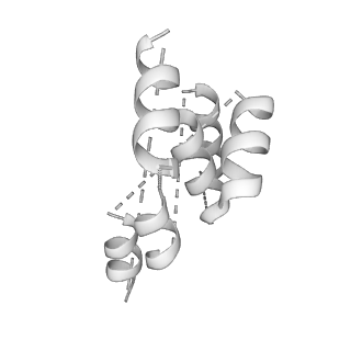 6202_3j9b_J_v1-3
Electron cryo-microscopy of an RNA polymerase