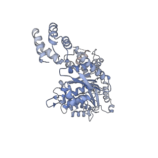 6204_3j94_A_v1-3
Structure of ATP-bound N-ethylmaleimide sensitive factor determined by single particle cryoelectron microscopy