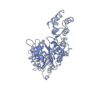 6204_3j94_B_v1-2
Structure of ATP-bound N-ethylmaleimide sensitive factor determined by single particle cryoelectron microscopy