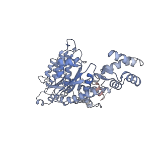 6204_3j94_C_v1-3
Structure of ATP-bound N-ethylmaleimide sensitive factor determined by single particle cryoelectron microscopy