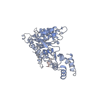 6204_3j94_D_v1-3
Structure of ATP-bound N-ethylmaleimide sensitive factor determined by single particle cryoelectron microscopy