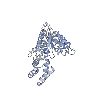 6204_3j94_E_v1-3
Structure of ATP-bound N-ethylmaleimide sensitive factor determined by single particle cryoelectron microscopy