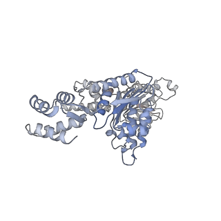 6204_3j94_F_v1-2
Structure of ATP-bound N-ethylmaleimide sensitive factor determined by single particle cryoelectron microscopy