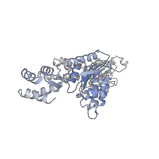 6204_3j94_F_v1-3
Structure of ATP-bound N-ethylmaleimide sensitive factor determined by single particle cryoelectron microscopy