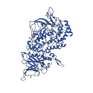 6239_3j9d_A_v1-5
Atomic structure of a non-enveloped virus reveals pH sensors for a coordinated process of cell entry