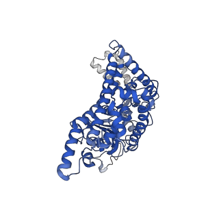 6240_3j9e_D_v1-5
Atomic structure of a non-enveloped virus reveals pH sensors for a coordinated process of cell entry