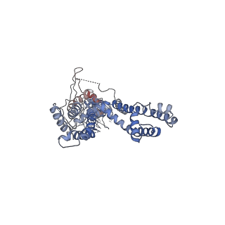 6267_3j9p_A_v1-4
Structure of the TRPA1 ion channel determined by electron cryo-microscopy