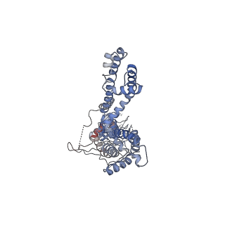 6267_3j9p_B_v1-4
Structure of the TRPA1 ion channel determined by electron cryo-microscopy
